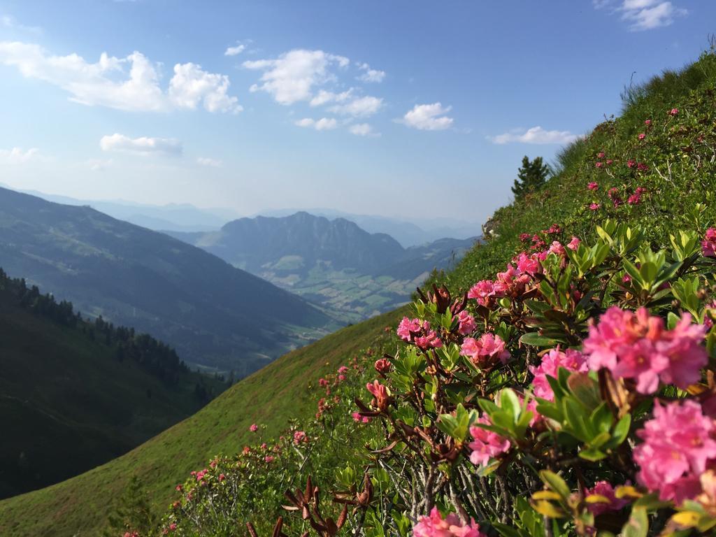 Das Alpbach Juwel מראה חיצוני תמונה