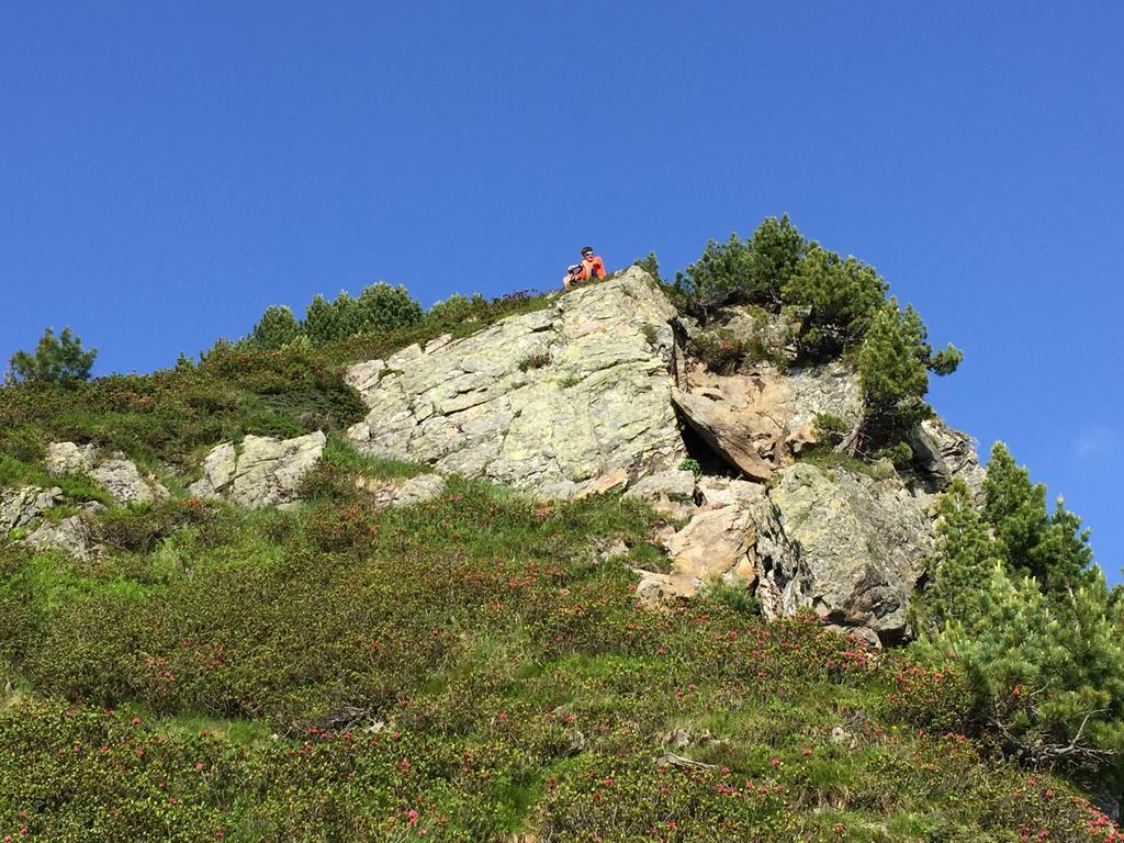 Das Alpbach Juwel מראה חיצוני תמונה