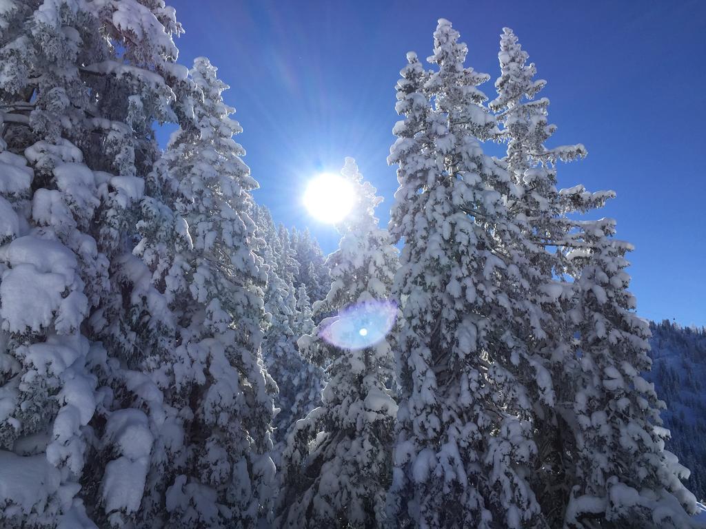 Das Alpbach Juwel מראה חיצוני תמונה