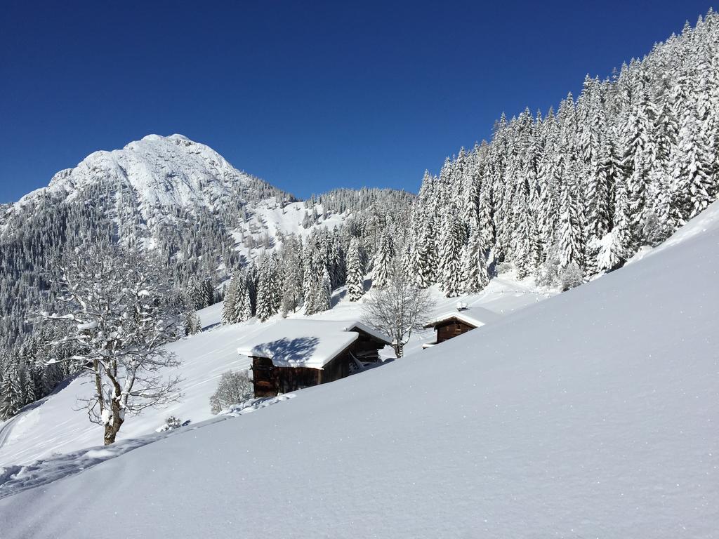 Das Alpbach Juwel מראה חיצוני תמונה
