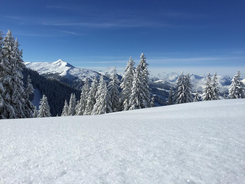 Das Alpbach Juwel מראה חיצוני תמונה