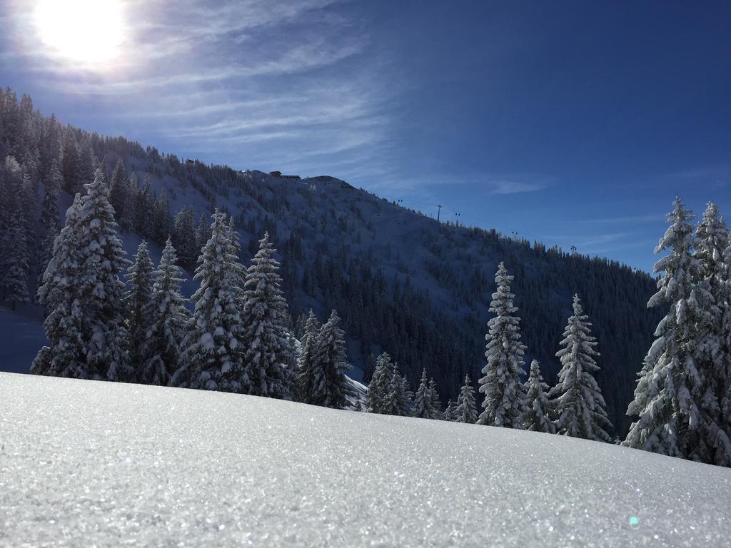 Das Alpbach Juwel מראה חיצוני תמונה