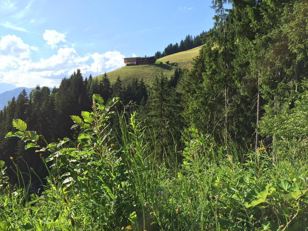 Das Alpbach Juwel מראה חיצוני תמונה